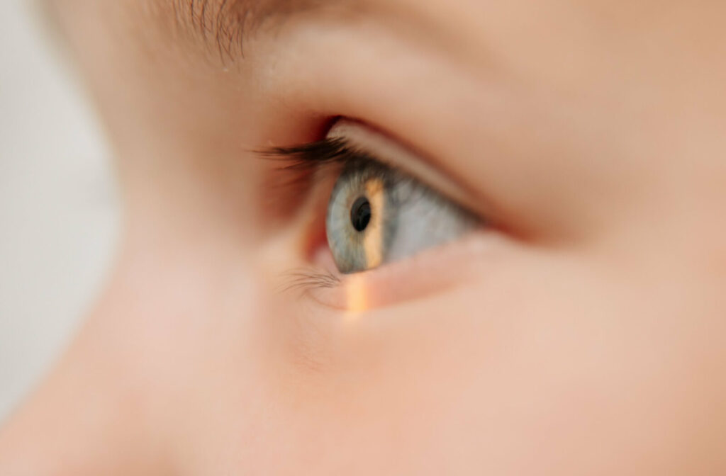 An optometrist fitting eyeglasses on a young patient during an eye exam